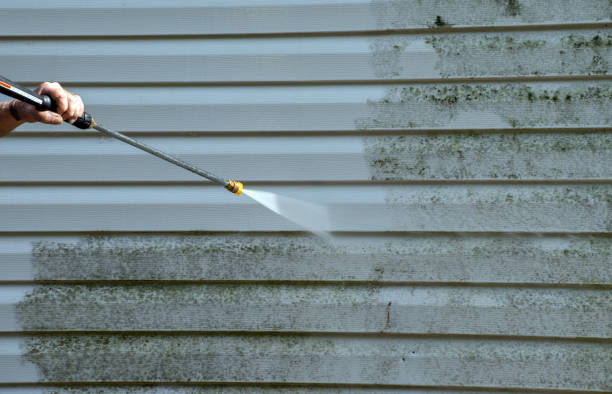 Best Gutter Cleaning  in Villa Ridge, MO